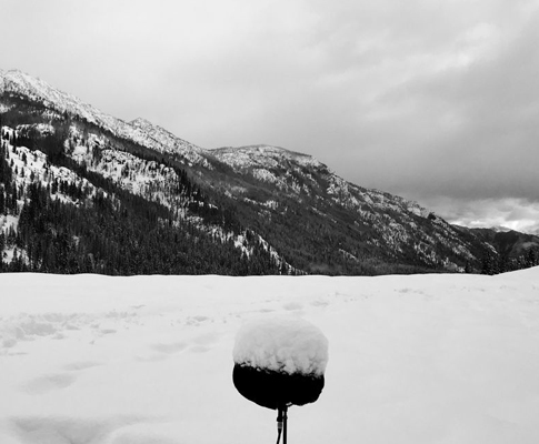 A return to nature sonic explorer Thomas Rex Beverly captures inspiring soundscapes of the Cascade mountain range with Sennheiser